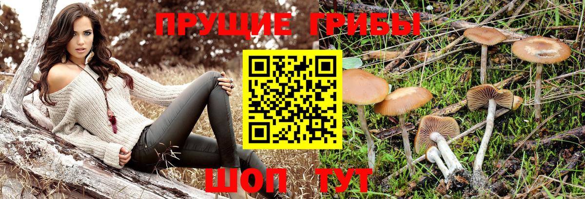 Касимов  Псилоцибиновые грибы ЛСД  Вход с VPN 