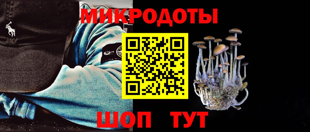 Галлюциногенные грибы прущие грибы Касимов