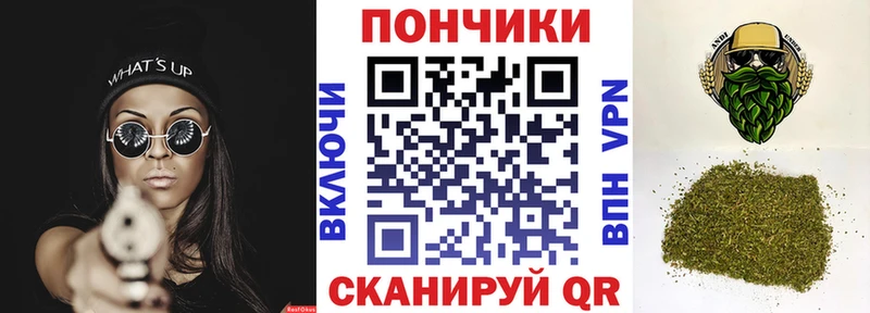 что такое   Касимов  Канабис SATIVA & INDICA 